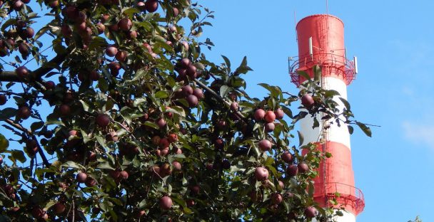 «Квадра» подключила новую теплосеть на Краснинском шоссе в Смоленске