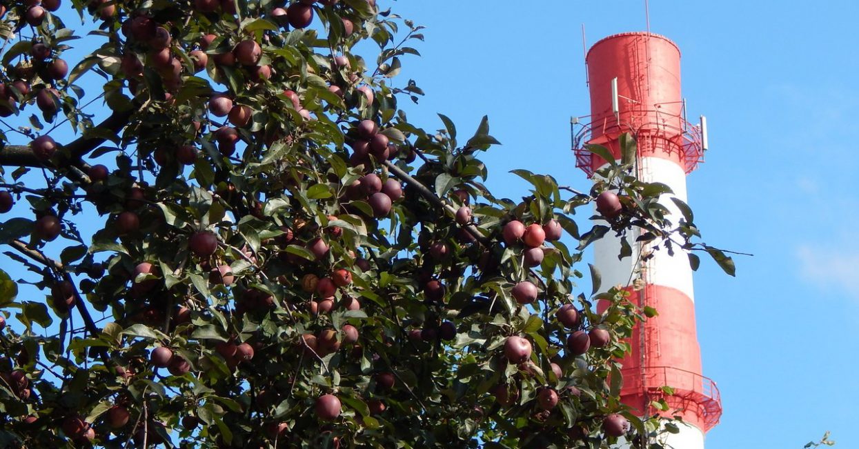 «Квадра» в 2,4 раза увеличила финансирование экологических мероприятий в Смоленске